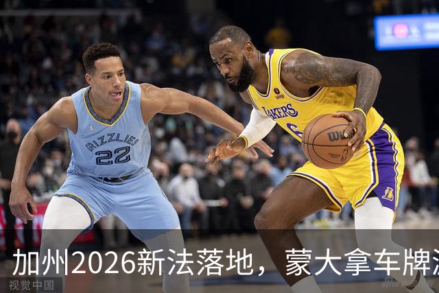 加州2026新法落地，蒙大拿车牌漏洞还能钻吗？