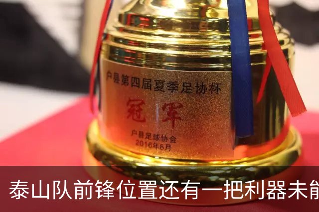 泰山队前锋位置还有一把利器未能出鞘！或许就等着唐田激活