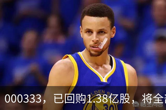 000333，已回购1.38亿股，将全部注销！多家A股龙头也出手！