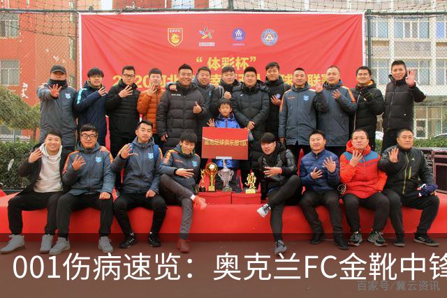 001伤病速览：奥克兰FC金靴中锋停赛，布里斯班狮吼后防厚度低